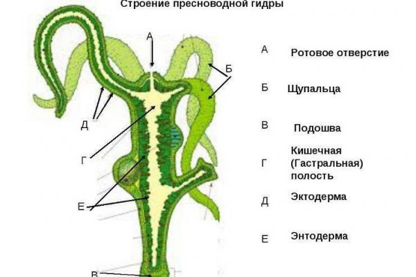 Кракен даркнет плейс