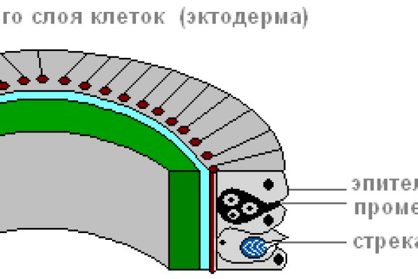 Новая ссылка на кракен