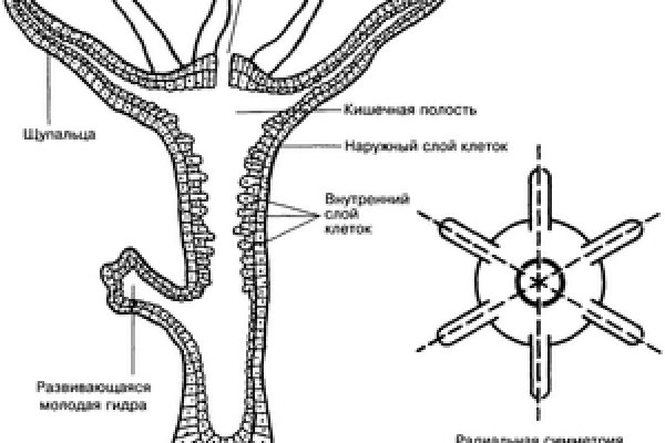 Кракен сайт 1kraken me вход