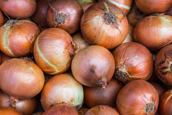 Что такое кракен маркетплейс курительный смесс